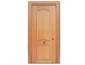 Puertas de diferentes estilos y materiales para entradas y paso